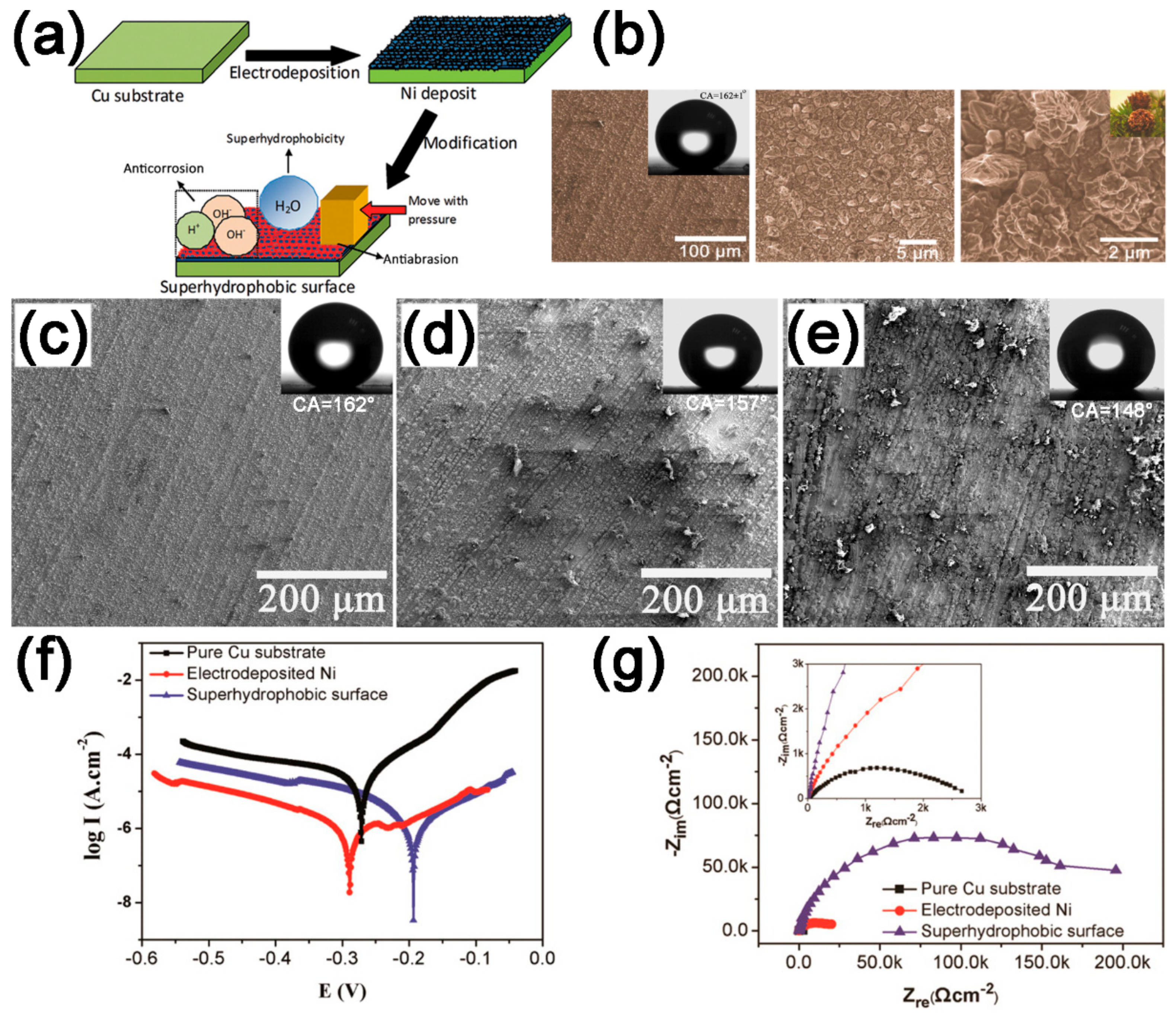 Coatings 09 00452 g014 Coatings 09 00452 g014