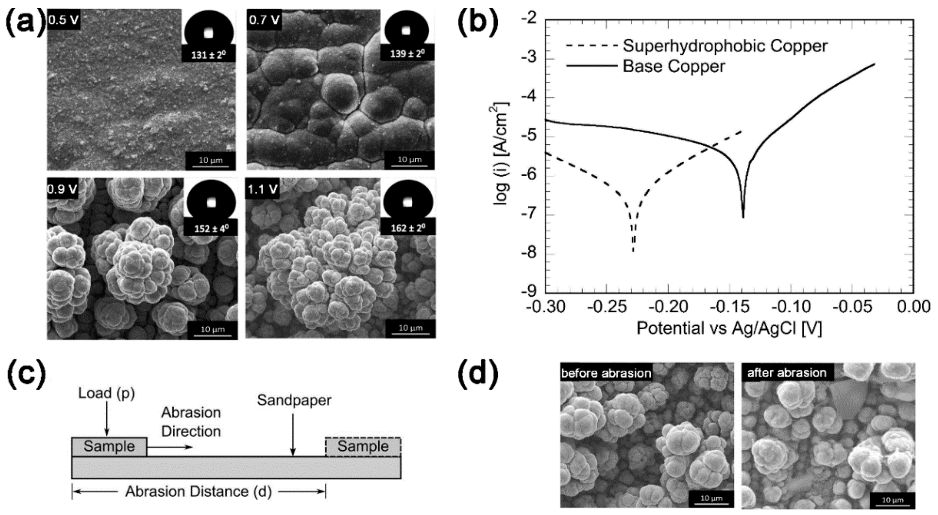 Coatings 09 00452 g015 Coatings 09 00452 g015
