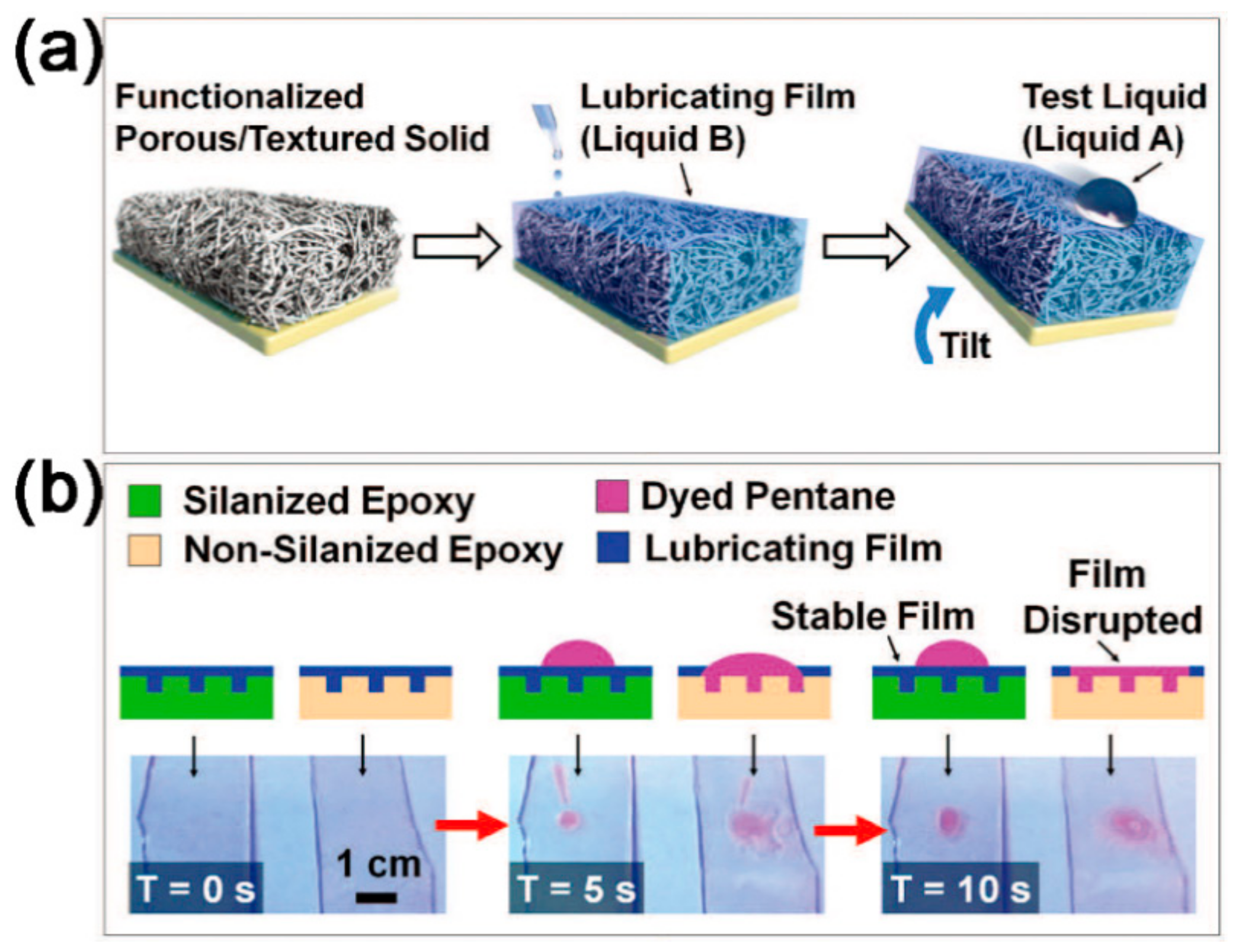 Coatings 09 00452 g020 Coatings 09 00452 g020