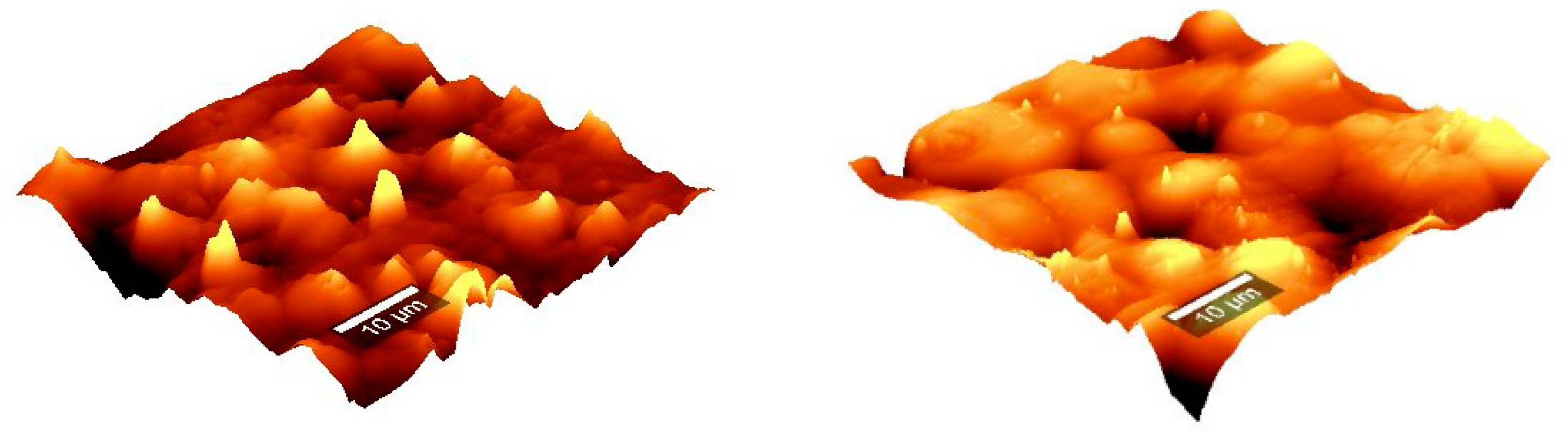 Coatings 09 00457 g017 Coatings 09 00457 g017