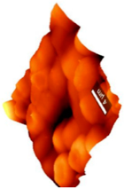 Coatings 09 00457 i001 Coatings 09 00457 i001