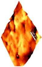 Coatings 09 00457 i002 Coatings 09 00457 i002