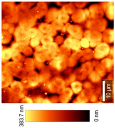 Coatings 09 00457 i008 Coatings 09 00457 i008