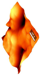 Coatings 09 00457 i009 Coatings 09 00457 i009