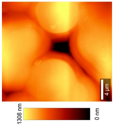 Coatings 09 00457 i013 Coatings 09 00457 i013