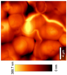 Coatings 09 00457 i014 Coatings 09 00457 i014