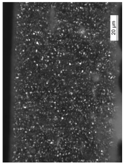 Coatings 09 00457 i021 Coatings 09 00457 i021