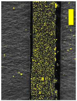 Coatings 09 00457 i026 Coatings 09 00457 i026