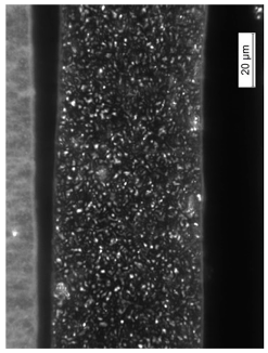 Coatings 09 00457 i027 Coatings 09 00457 i027