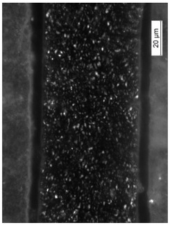 Coatings 09 00457 i029 Coatings 09 00457 i029