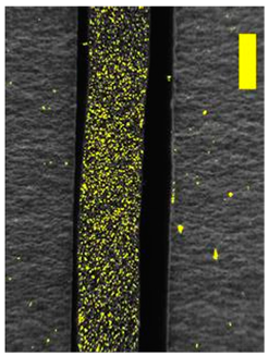 Coatings 09 00457 i033 Coatings 09 00457 i033