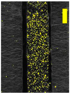 Coatings 09 00457 i034 Coatings 09 00457 i034