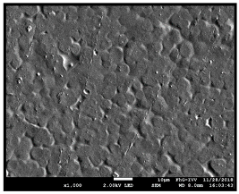 Coatings 09 00457 i036 Coatings 09 00457 i036