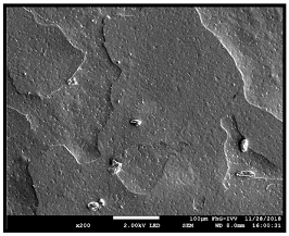 Coatings 09 00457 i038 Coatings 09 00457 i038