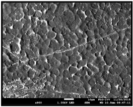 Coatings 09 00457 i039 Coatings 09 00457 i039