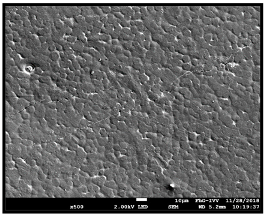 Coatings 09 00457 i040 Coatings 09 00457 i040