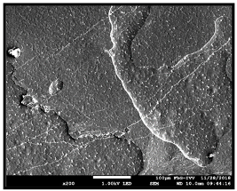 Coatings 09 00457 i041 Coatings 09 00457 i041