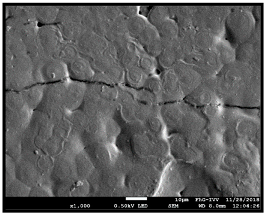 Coatings 09 00457 i042 Coatings 09 00457 i042