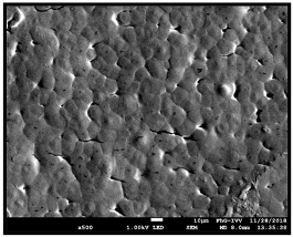 Coatings 09 00457 i043 Coatings 09 00457 i043