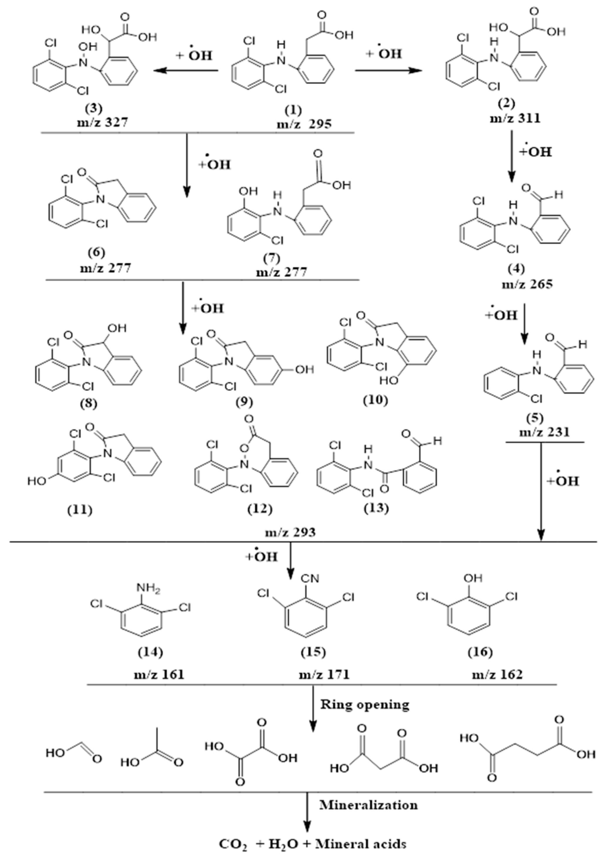 Coatings 09 00465 g004 Coatings 09 00465 g004