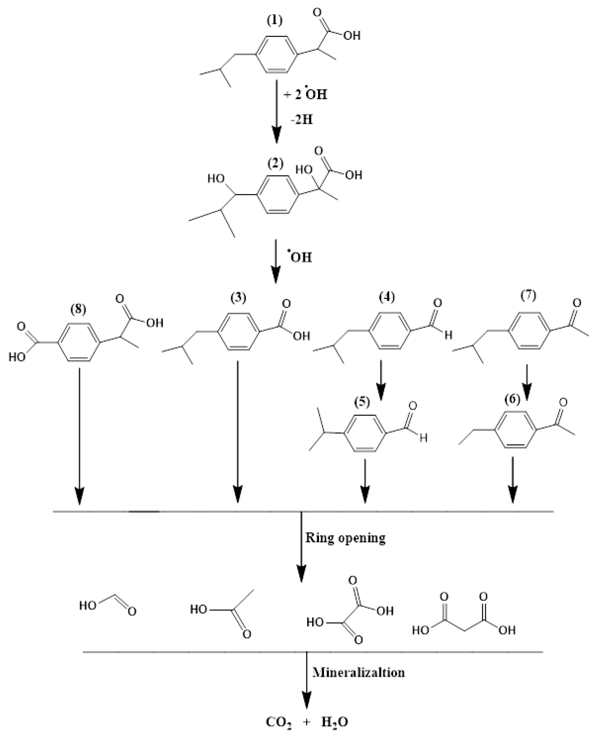 Coatings 09 00465 g005 Coatings 09 00465 g005