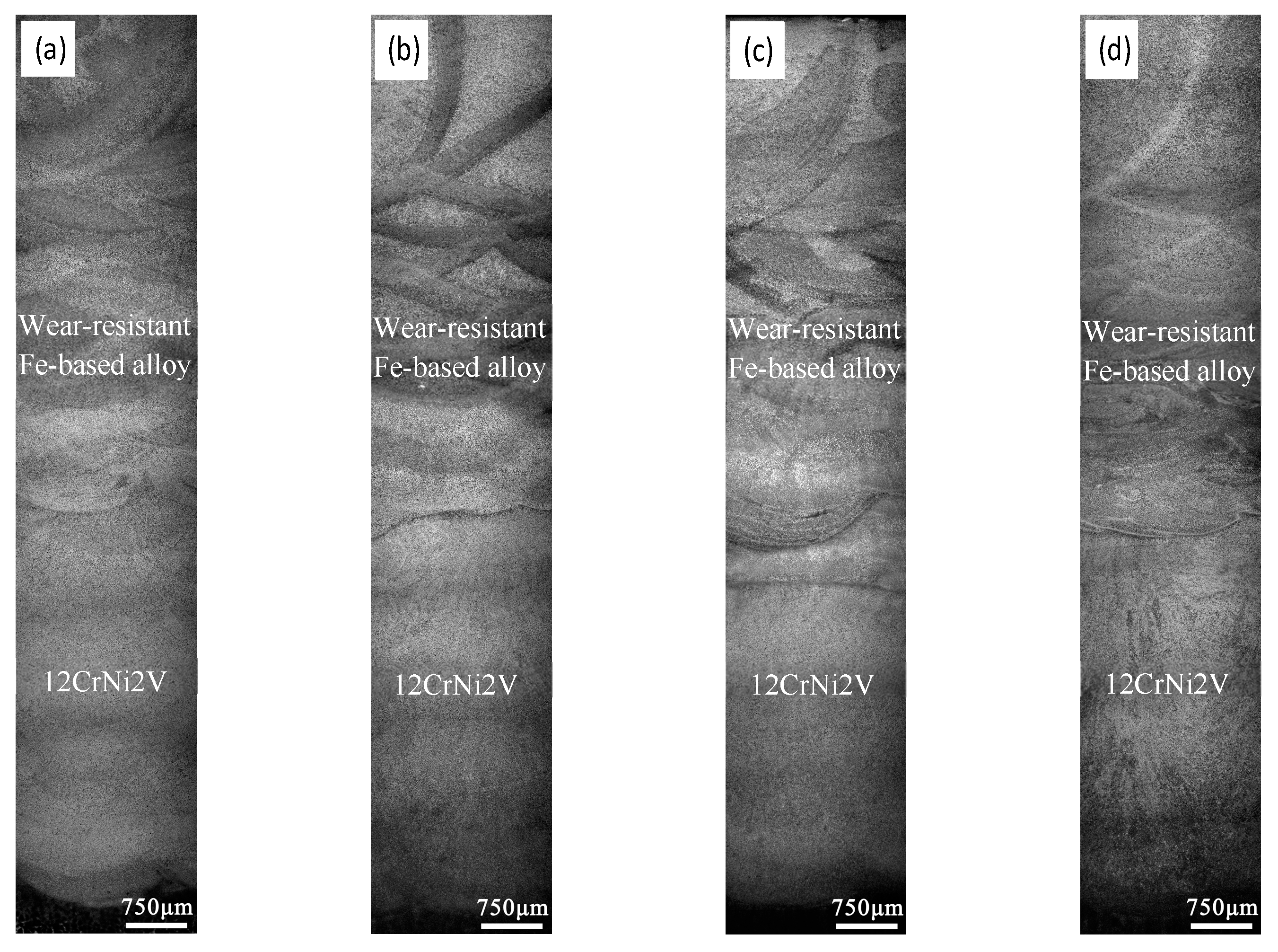 Coatings 09 00467 g004