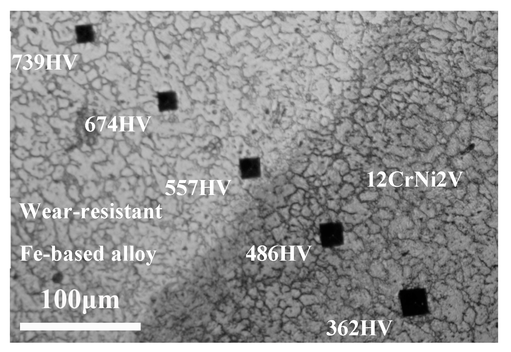 Coatings 09 00467 g008
