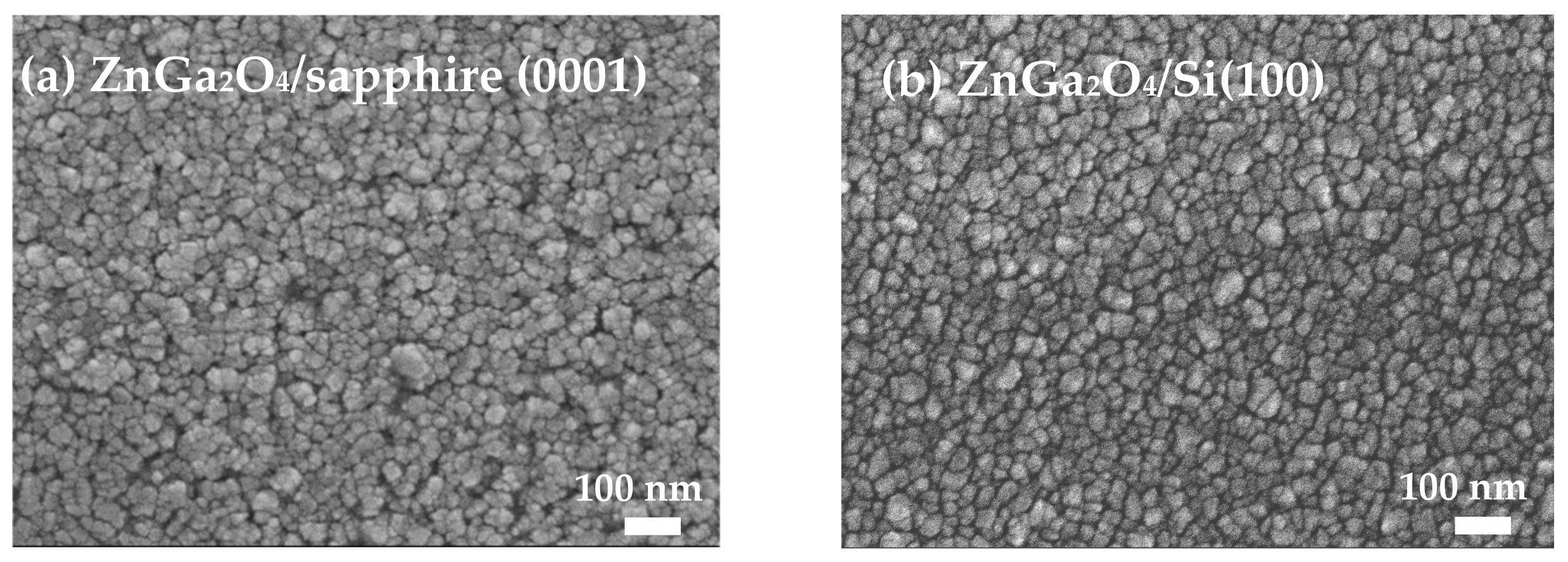 Coatings 09 00469 g003 550