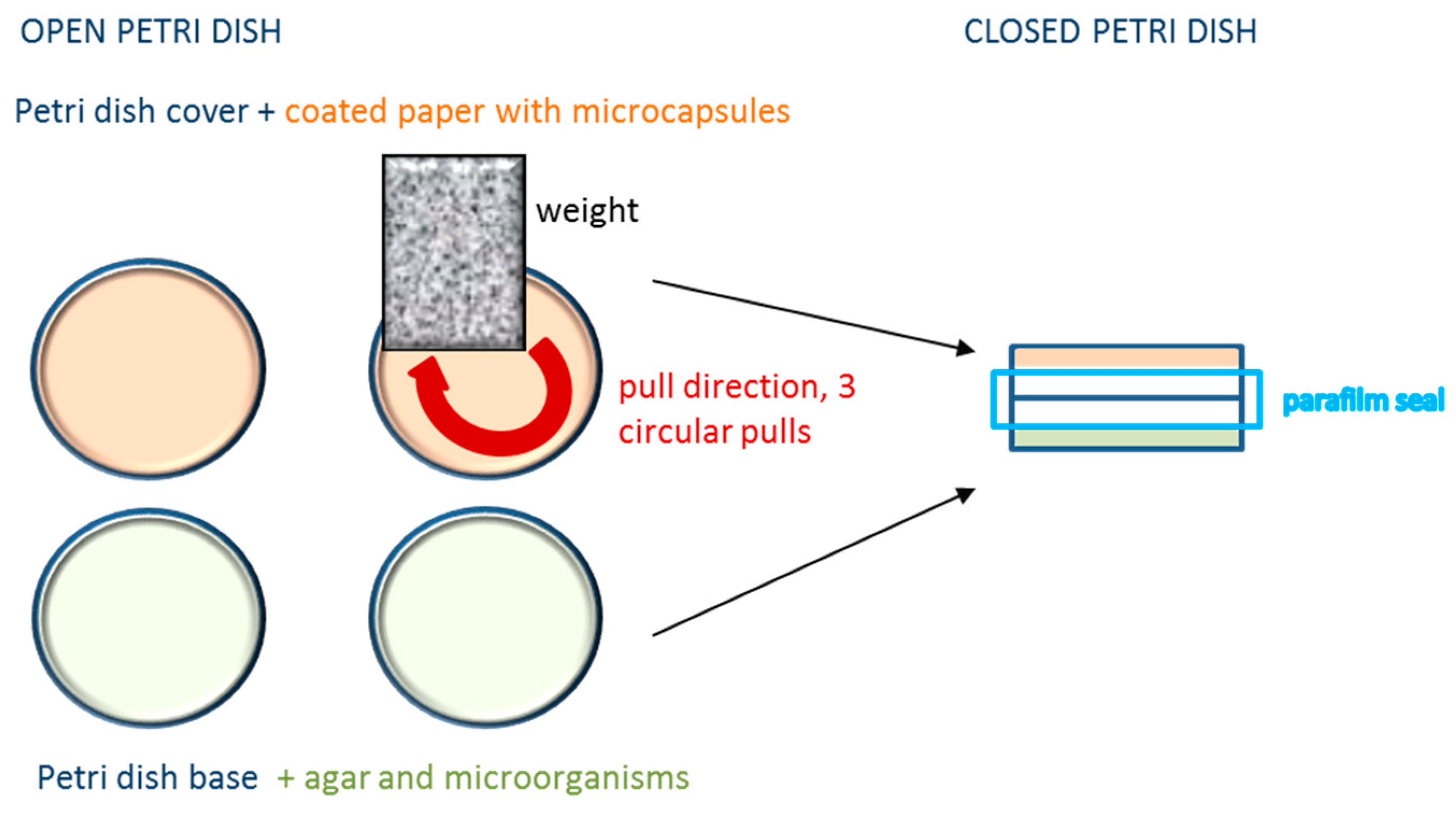 Coatings 09 00470 g003 Coatings 09 00470 g003