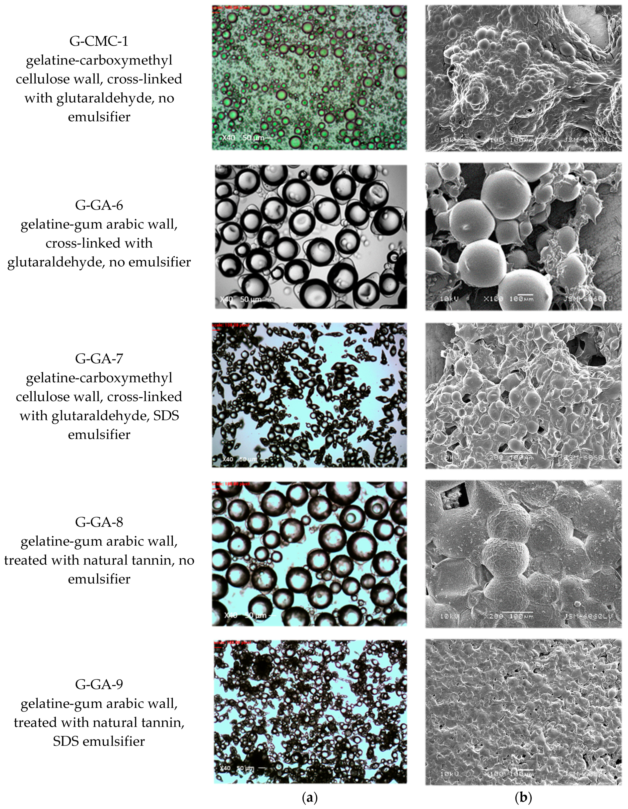 Coatings 09 00470 g004 Coatings 09 00470 g004