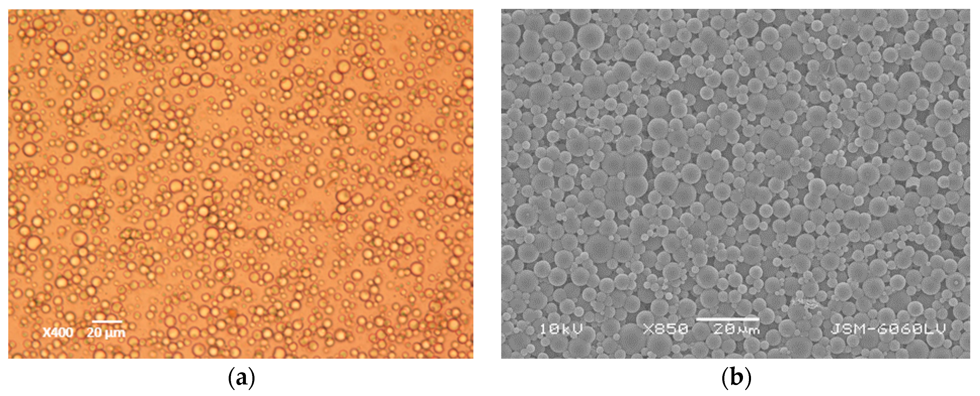 Coatings 09 00470 g005 Coatings 09 00470 g005