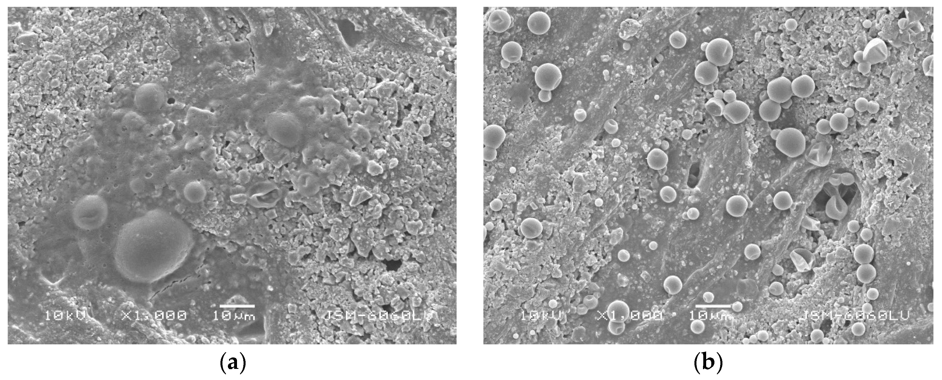 Coatings 09 00470 g007 Coatings 09 00470 g007