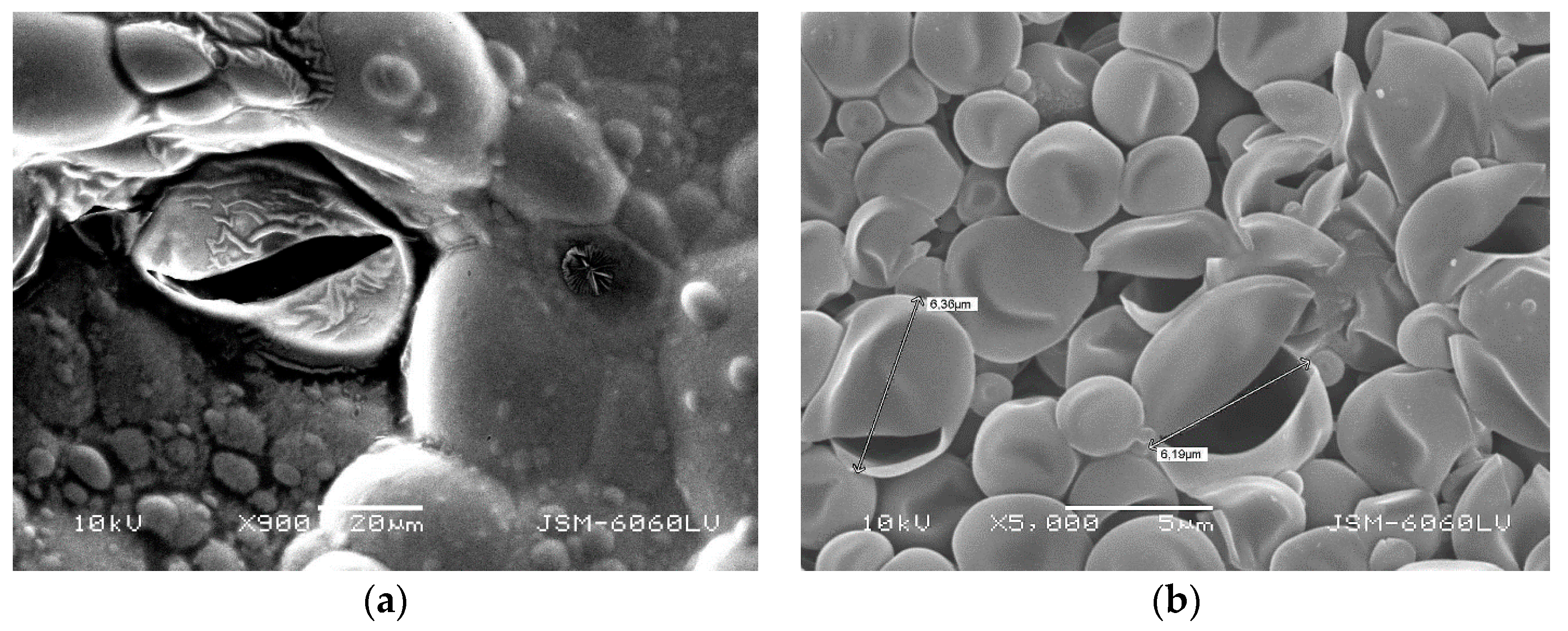 Coatings 09 00470 g008 Coatings 09 00470 g008