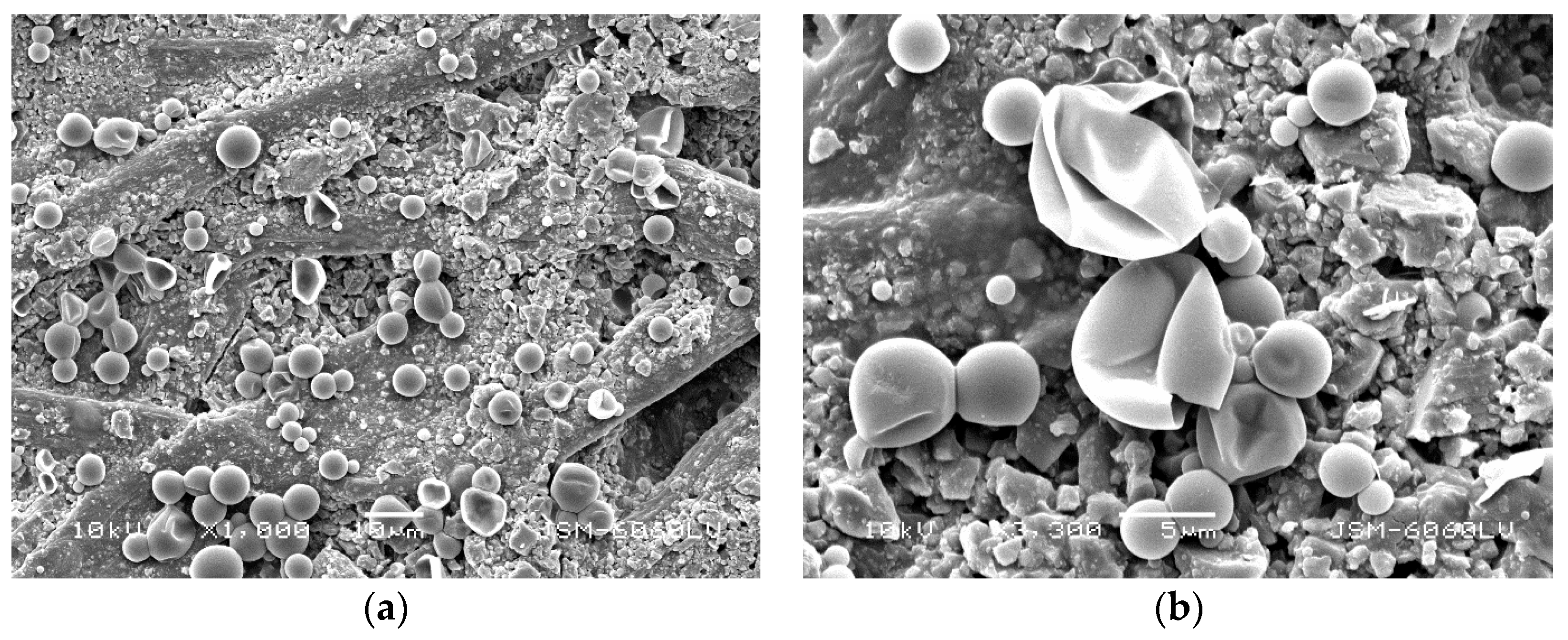 Coatings 09 00470 g009 Coatings 09 00470 g009