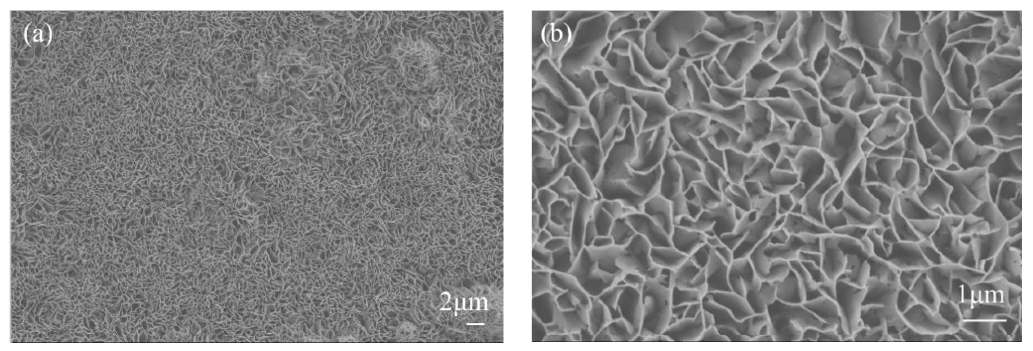 Coatings 09 00477 g008a Coatings 09 00477 g008a