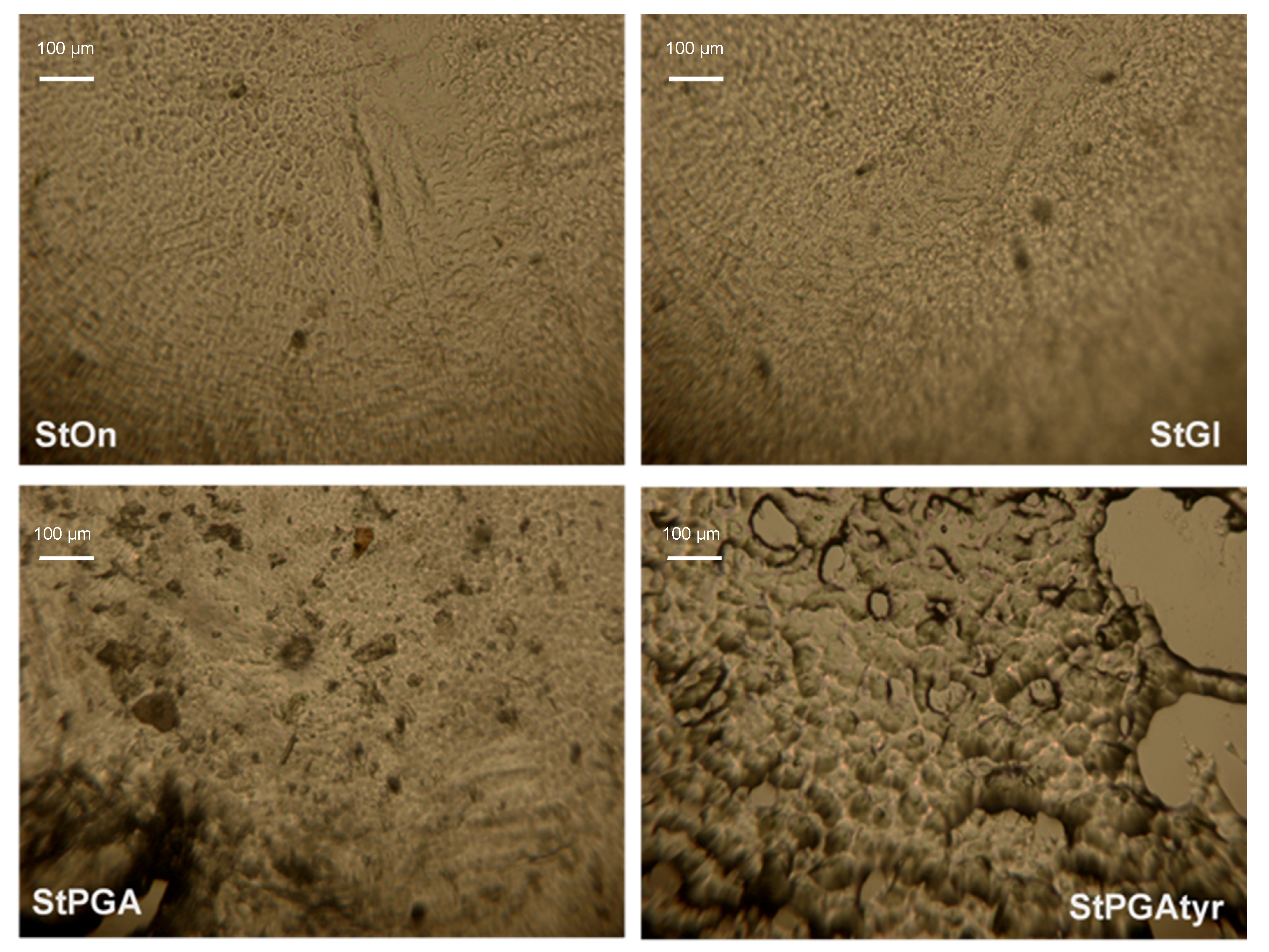 Coatings 09 00482 g006