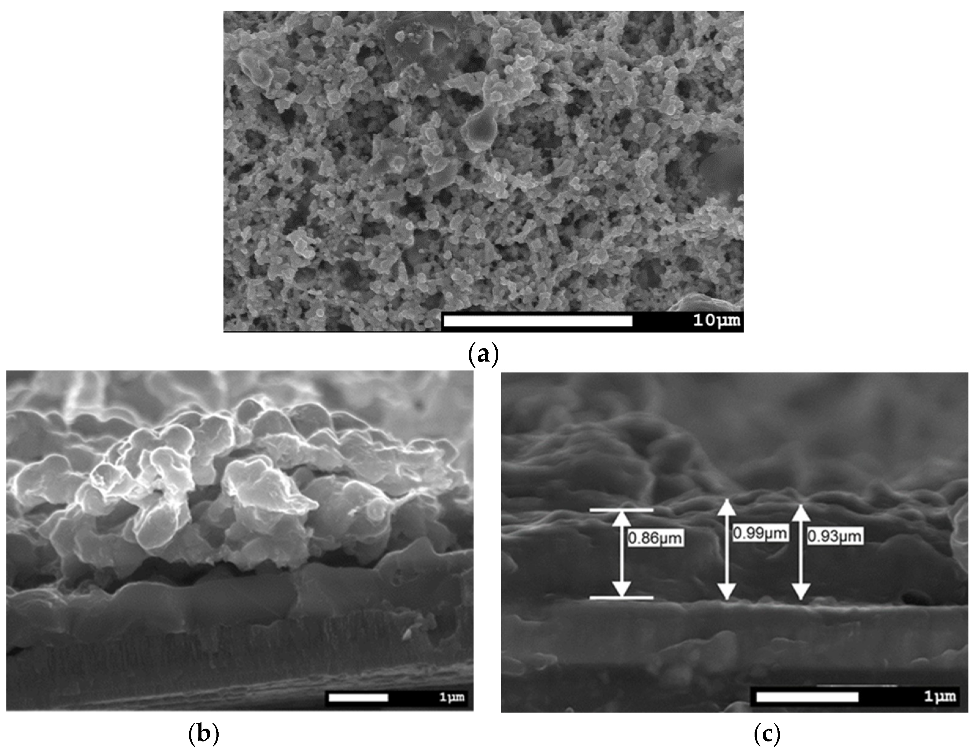Coatings 09 00484 g005 Coatings 09 00484 g005