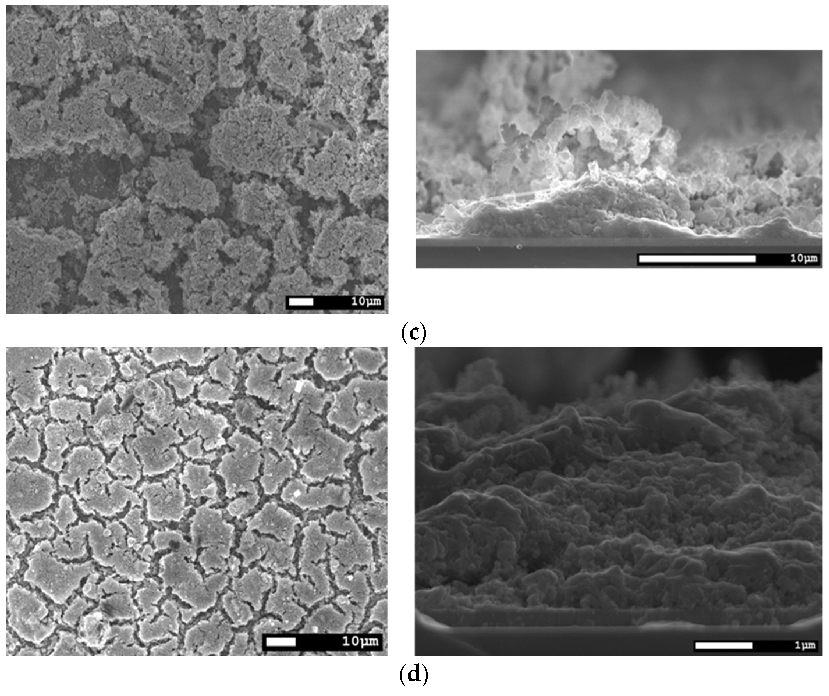 Coatings 09 00484 g007b Coatings 09 00484 g007b