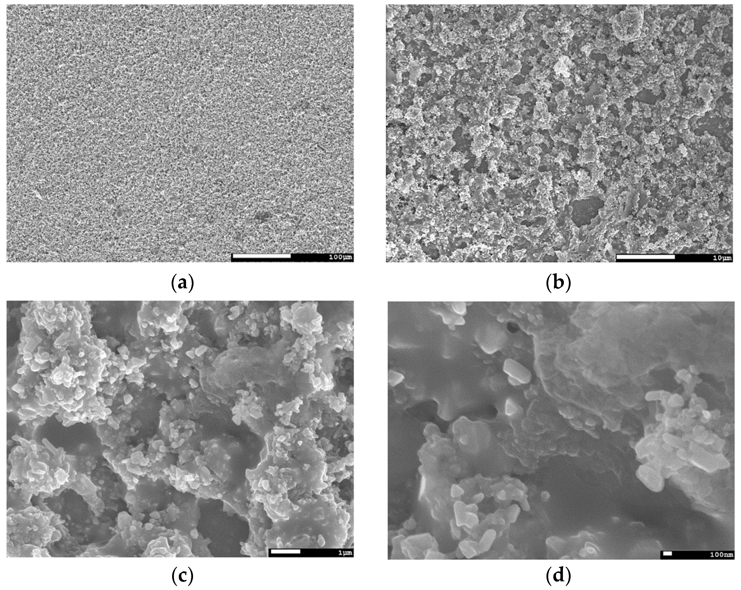 Coatings 09 00484 g0a1 Coatings 09 00484 g0a1