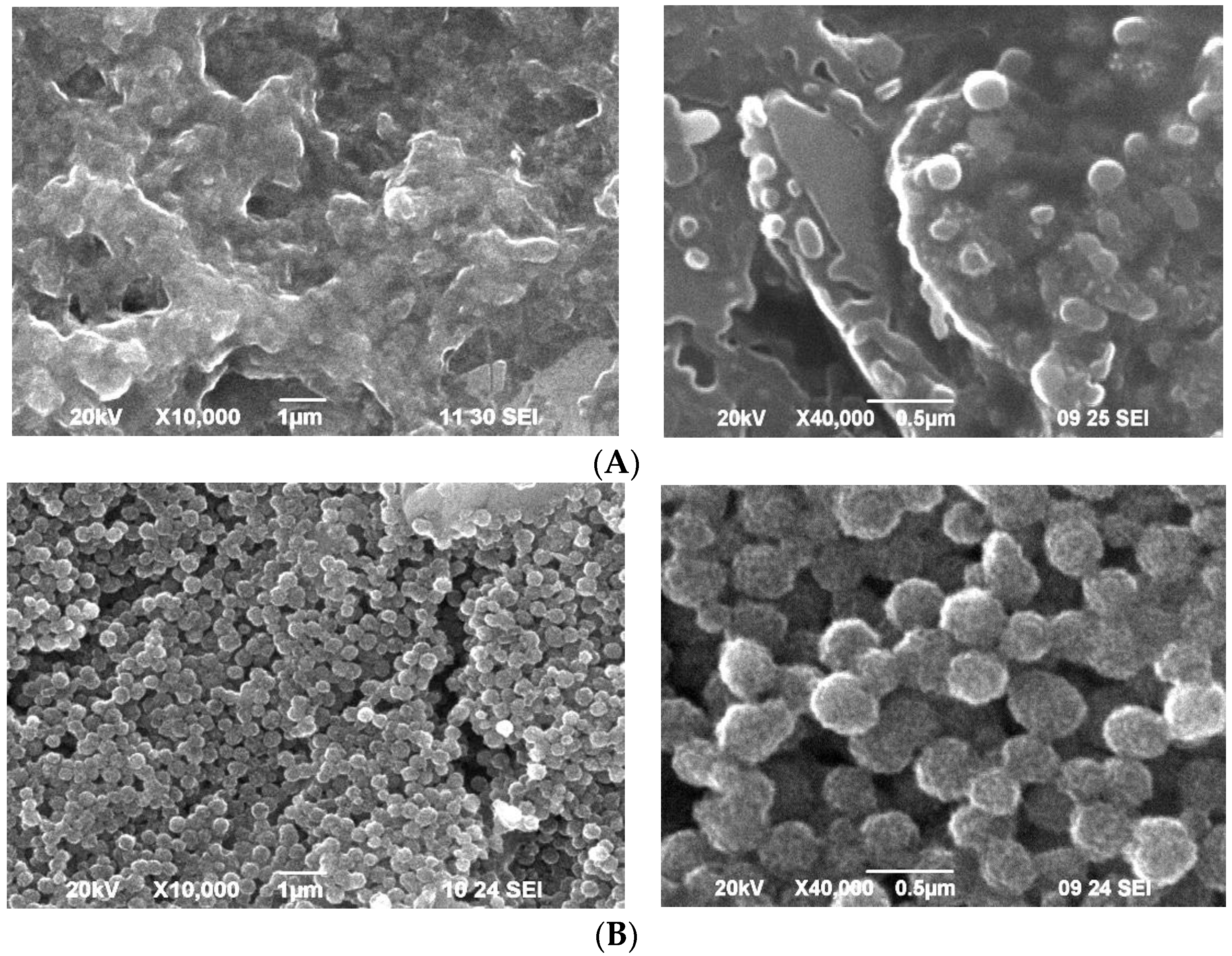 Coatings 09 00487 g001
