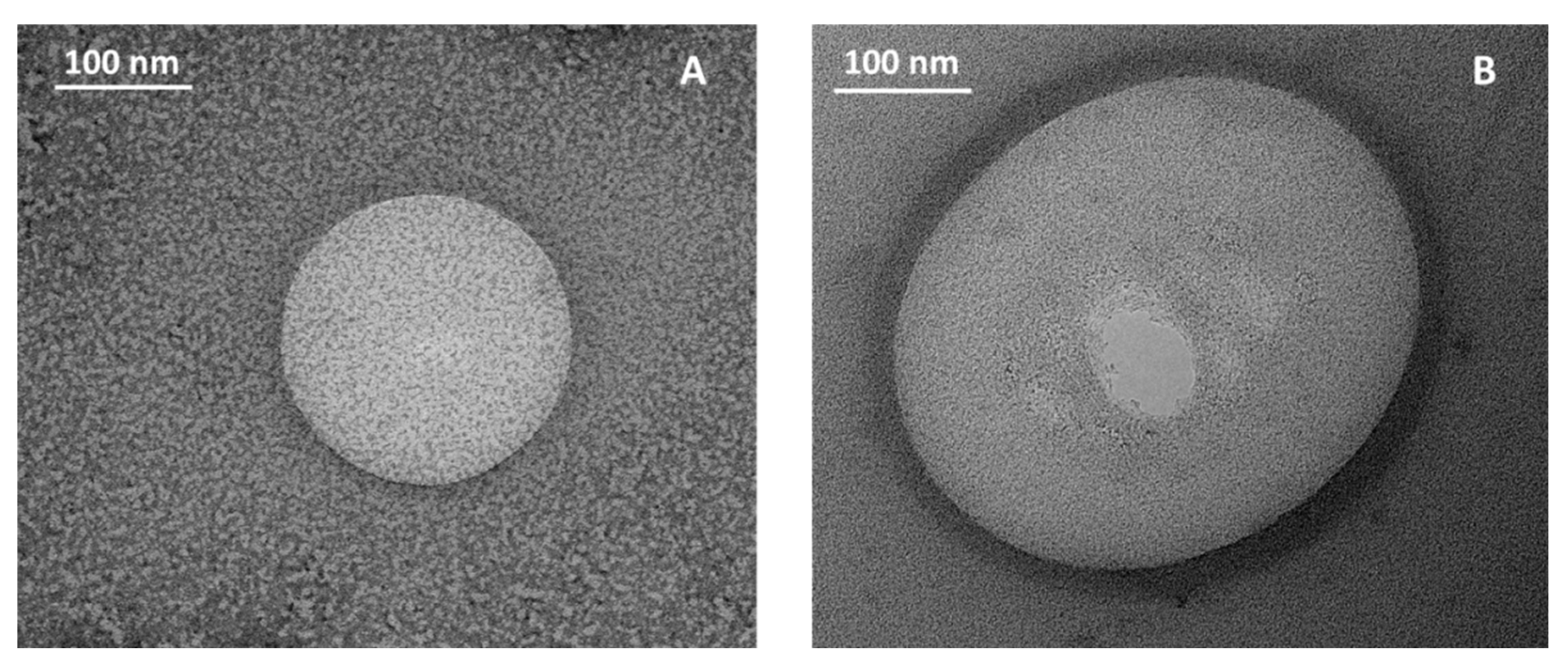 Coatings 09 00491 g006 Coatings 09 00491 g006