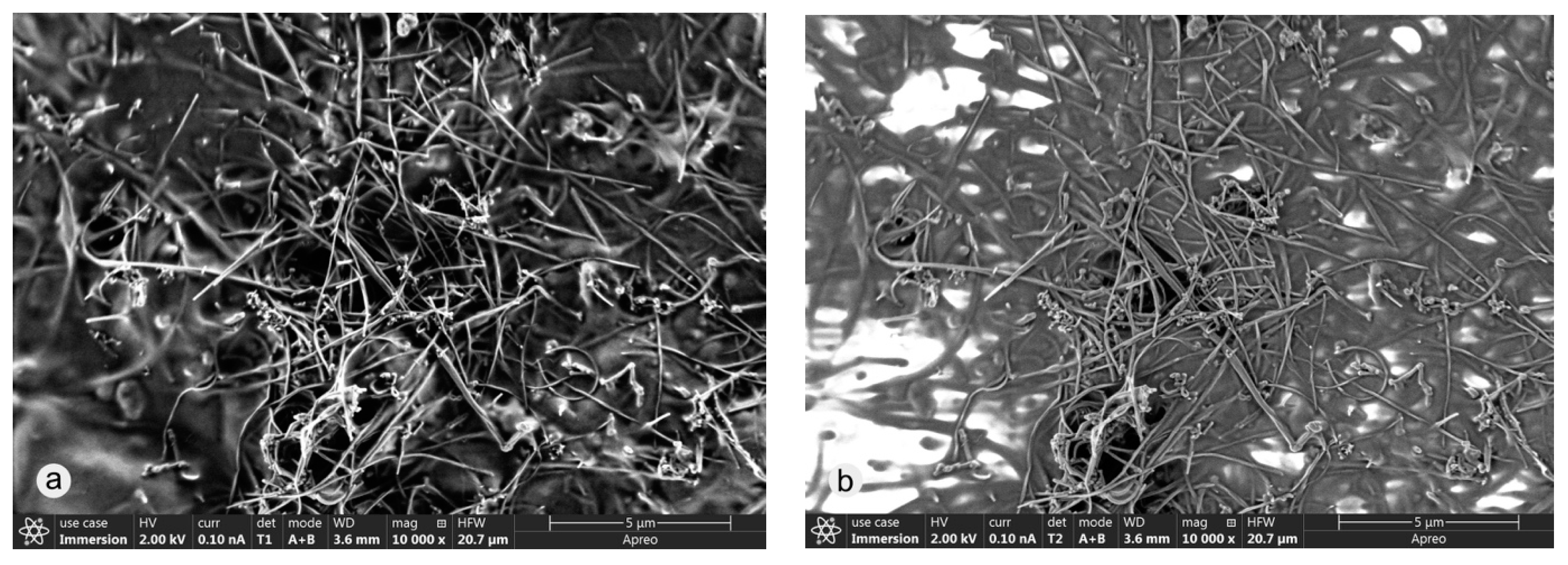 Coatings 09 00492 g003 Coatings 09 00492 g003