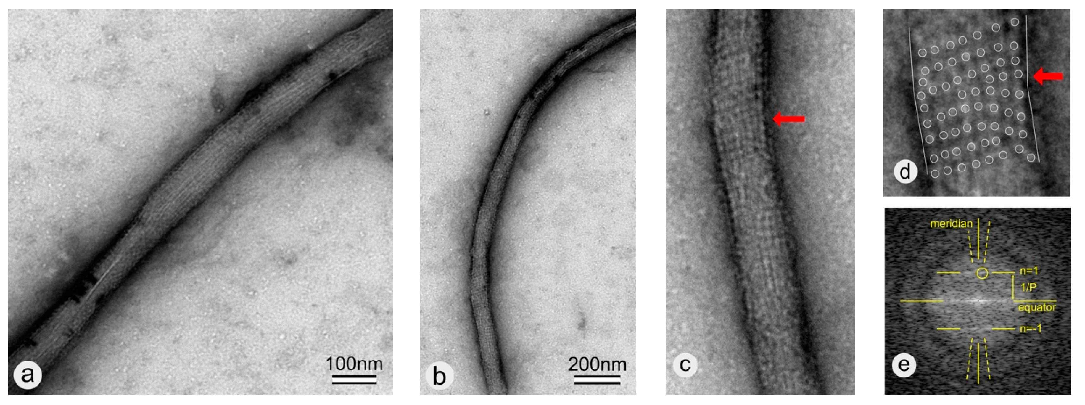 Coatings 09 00492 g005 Coatings 09 00492 g005
