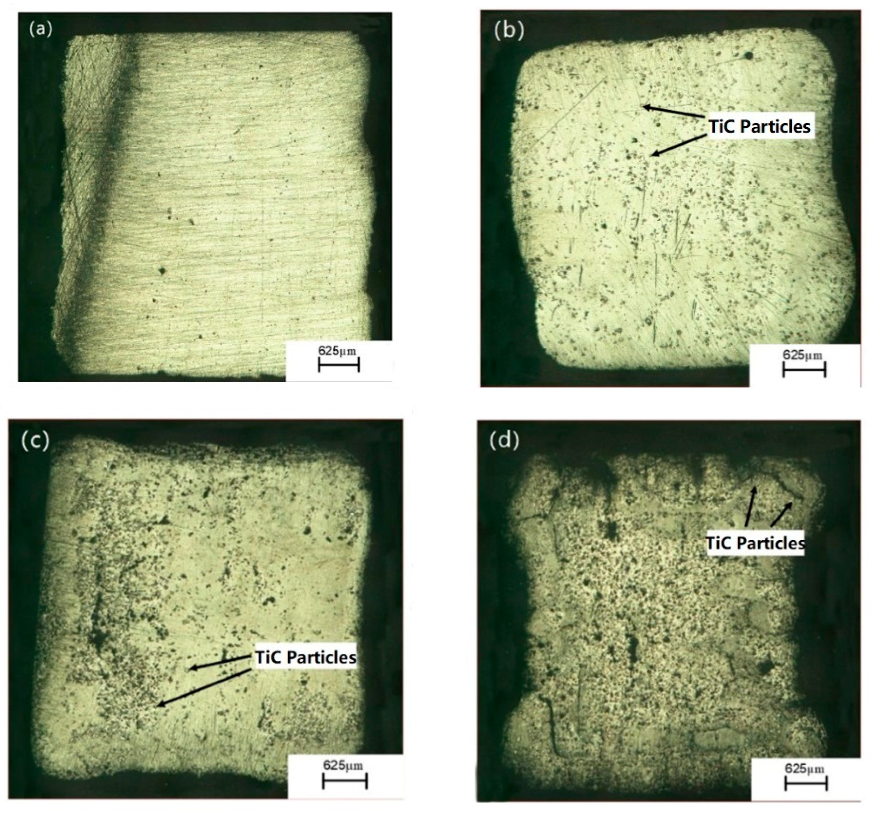 Coatings 09 00498 g013 550