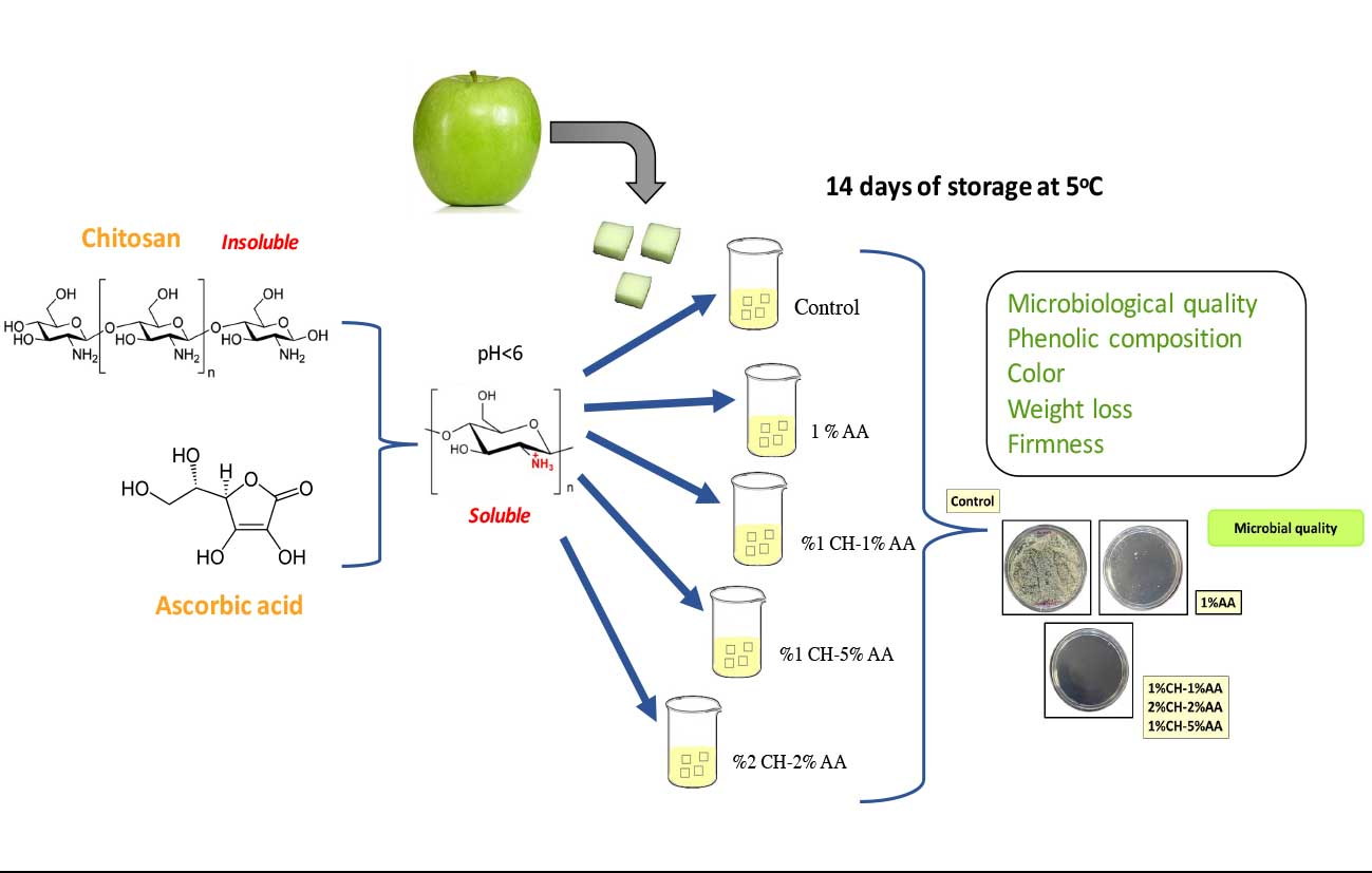 Coatings Free Full Text Effect Of Chitosan Ascorbic Acid Coatings On The Refrigerated Storage Stability Of Fresh Cut Apples Html