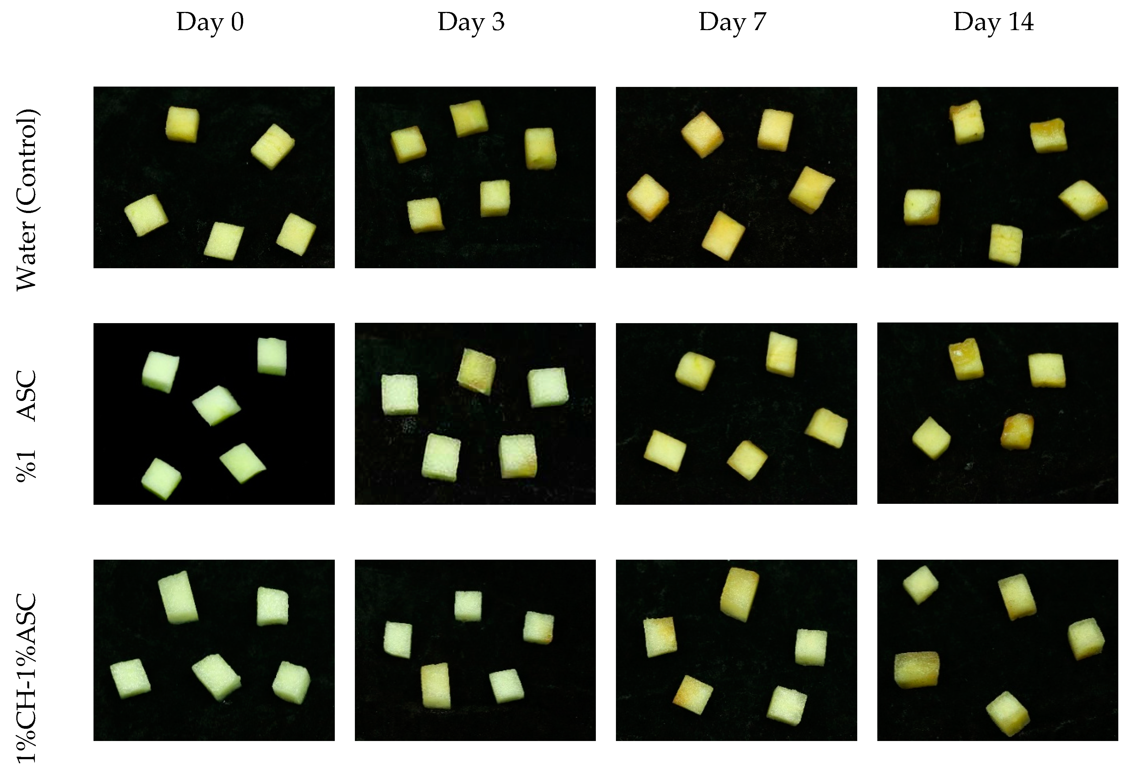 Coatings 09 00503 g002a