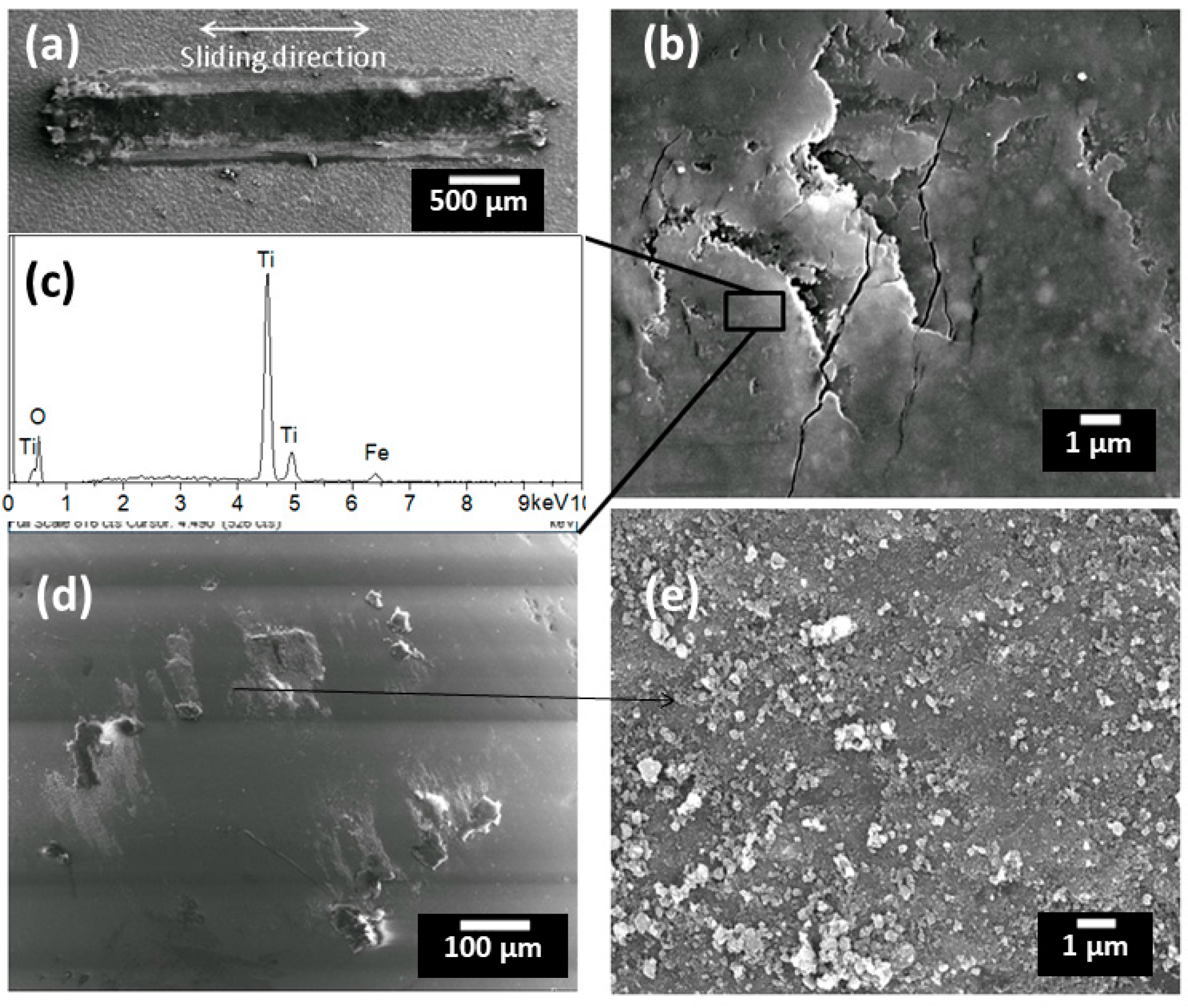 Coatings 09 00504 g011