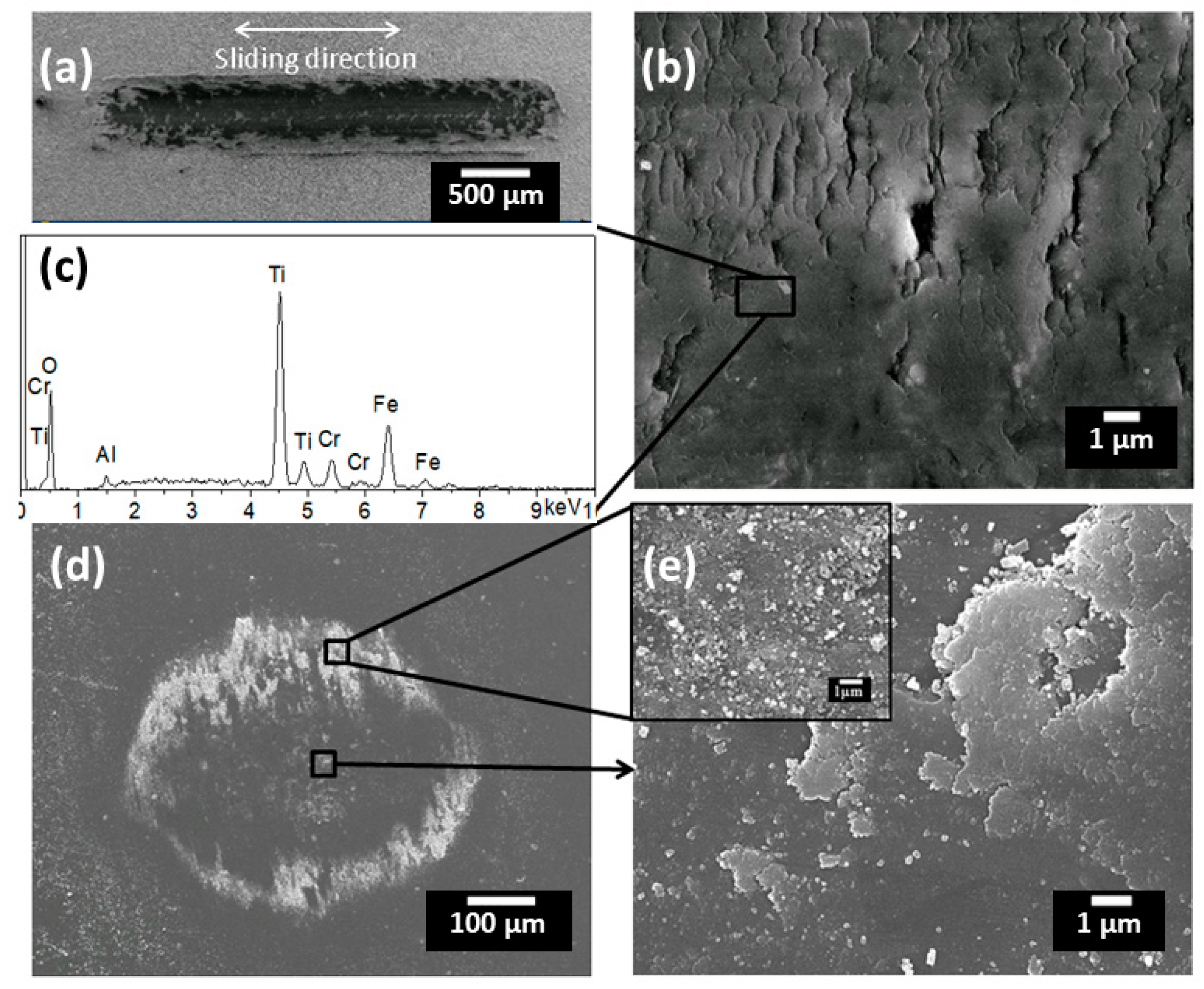 Coatings 09 00504 g012
