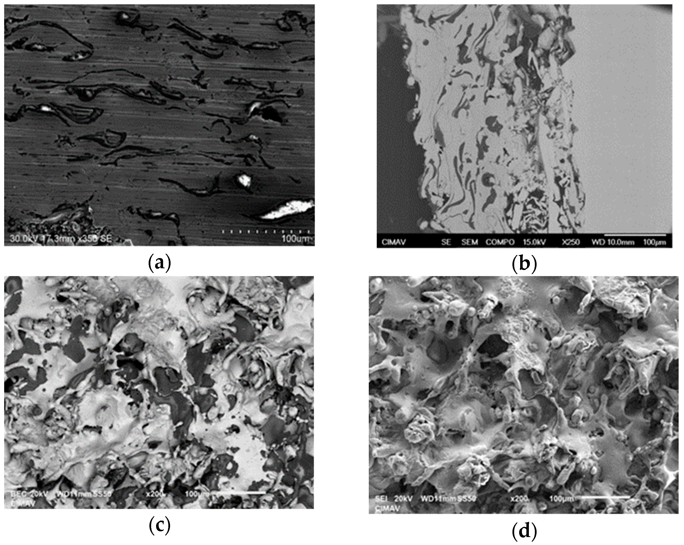 Coatings 09 00507 g005