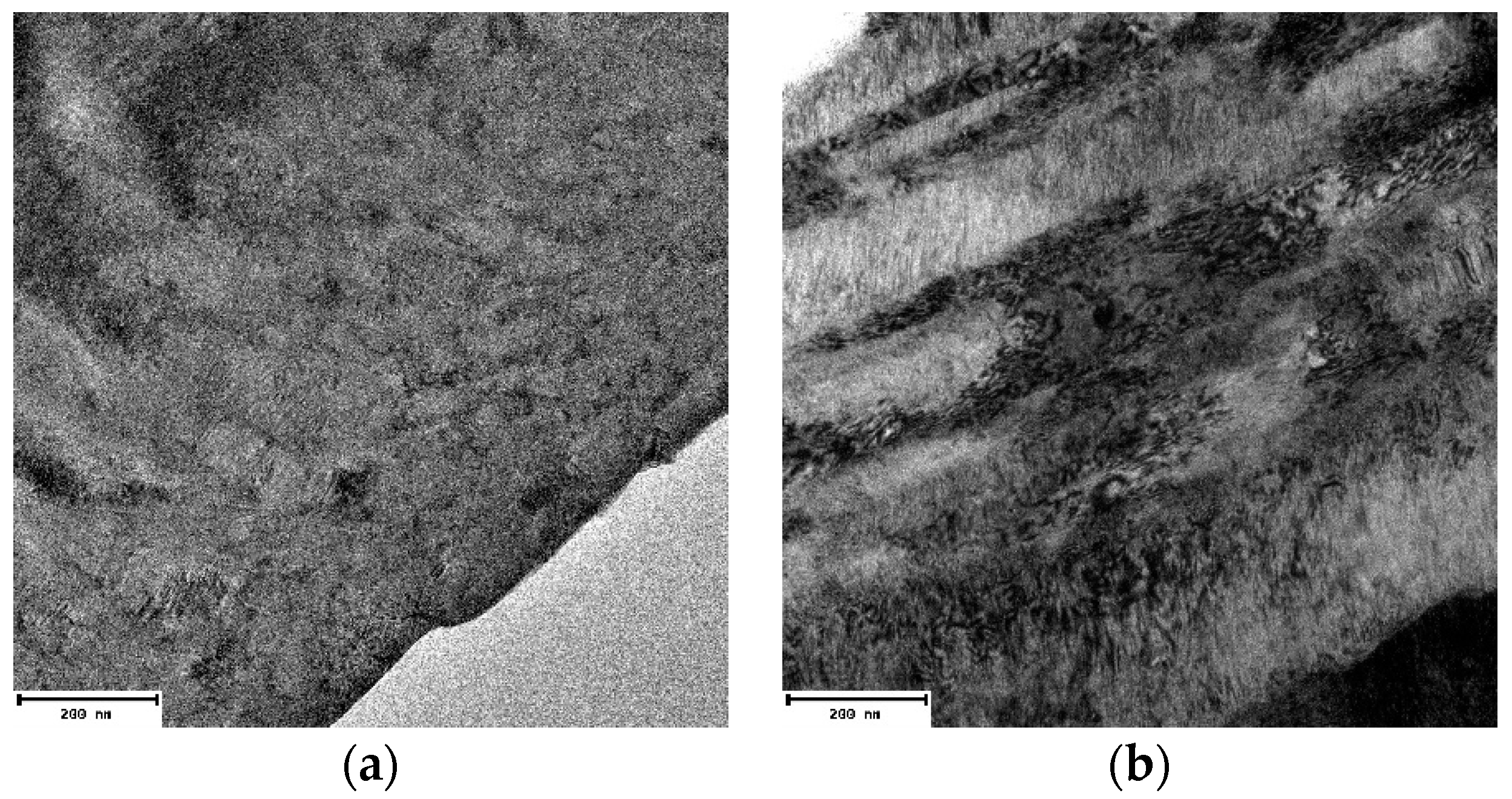 Coatings 09 00507 g006